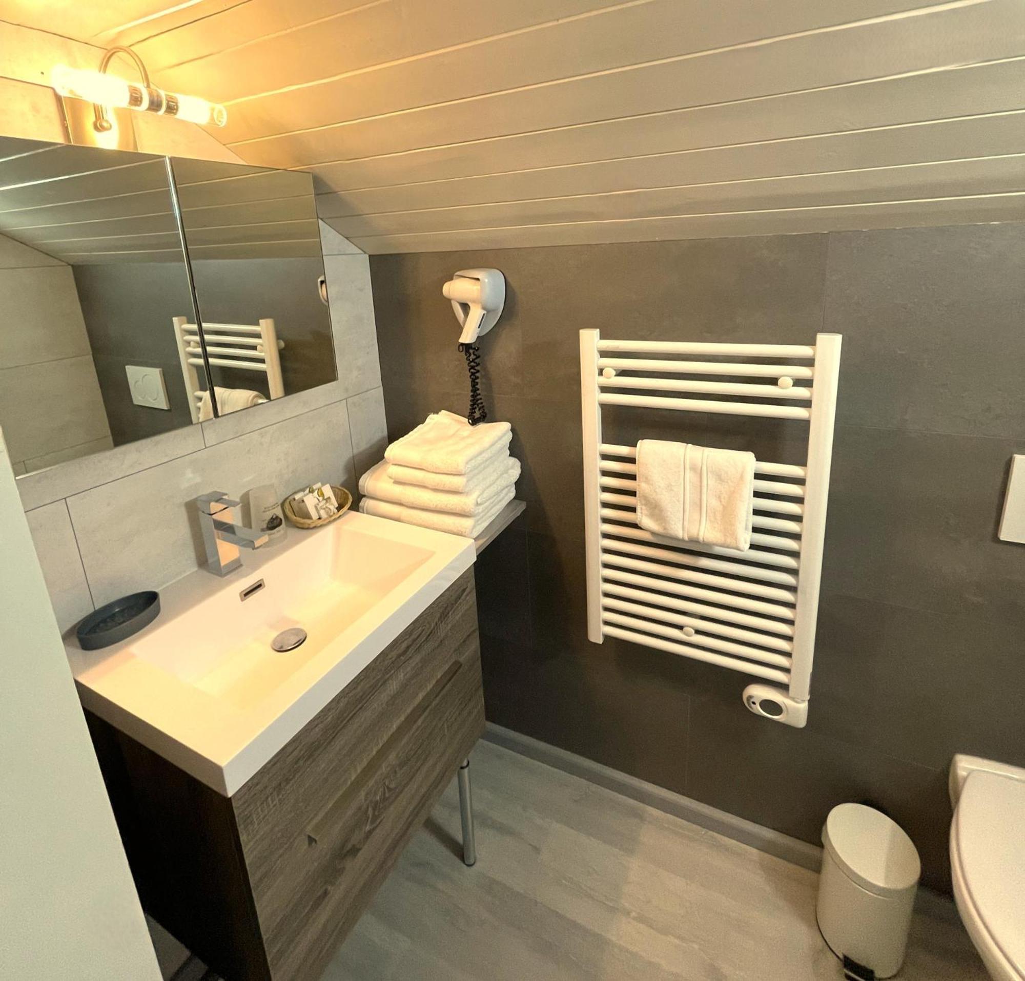 Logis Hotel & Spa Beau-Site Saint-Jean-de-Sixt Luaran gambar